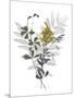 Wild Foliage - Natural-Collezione Botanica-Mounted Giclee Print