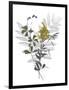 Wild Foliage - Natural-Collezione Botanica-Framed Giclee Print