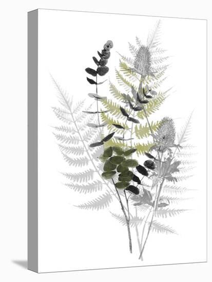 Wild Foliage - Rustic-Collezione Botanica-Stretched Canvas