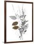 Wild Foliage - Simple-Collezione Botanica-Framed Giclee Print