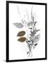 Wild Foliage - Simple-Collezione Botanica-Framed Giclee Print