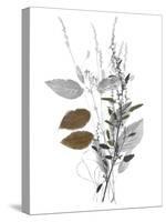 Wild Foliage - Simple-Collezione Botanica-Stretched Canvas