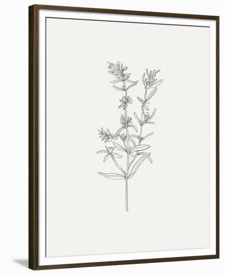 Wild Foliage Sketch I-Victoria Borges-Framed Premium Giclee Print