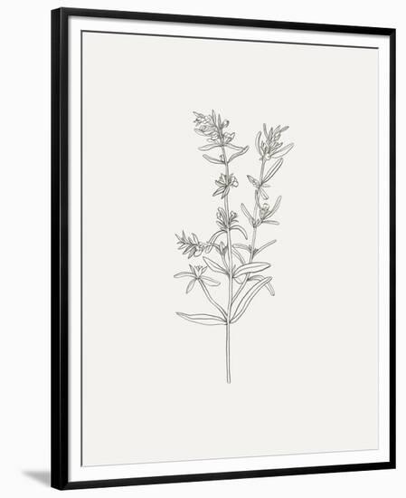 Wild Foliage Sketch I-Victoria Borges-Framed Premium Giclee Print