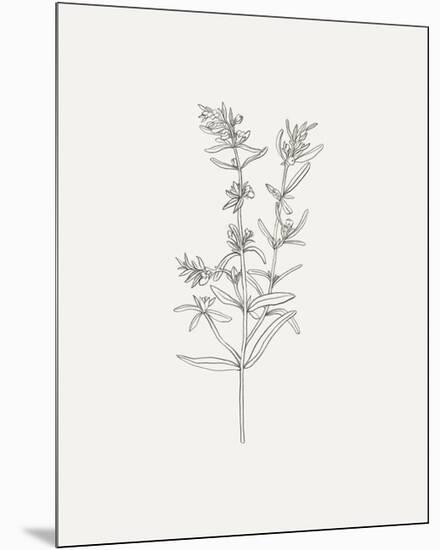 Wild Foliage Sketch I-Victoria Borges-Mounted Premium Giclee Print