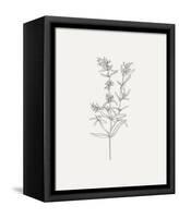Wild Foliage Sketch I-Victoria Borges-Framed Stretched Canvas