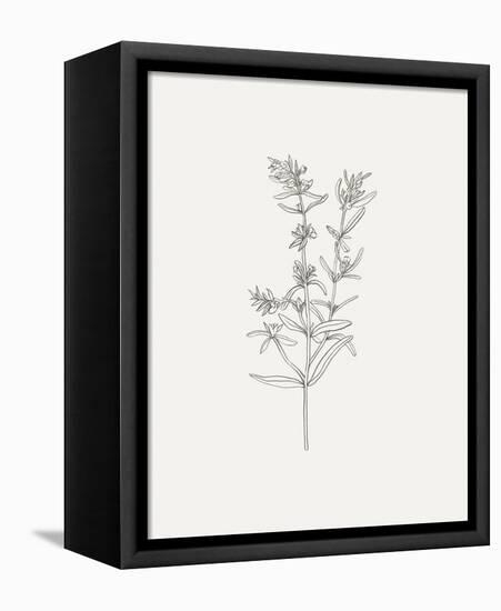 Wild Foliage Sketch I-Victoria Borges-Framed Stretched Canvas