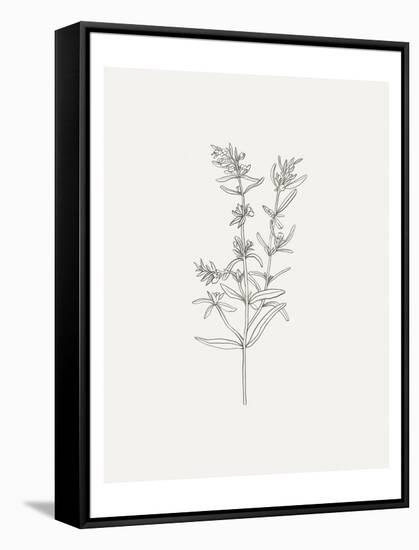 Wild Foliage Sketch I-Victoria Borges-Framed Stretched Canvas