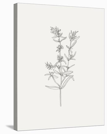 Wild Foliage Sketch I-Victoria Borges-Stretched Canvas