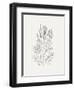 Wild Foliage Sketch II-Victoria Borges-Framed Art Print