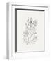 Wild Foliage Sketch II-Victoria Borges-Framed Art Print