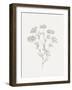 Wild Foliage Sketch III-Victoria Borges-Framed Art Print