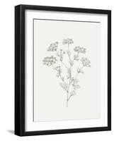 Wild Foliage Sketch III-Victoria Borges-Framed Art Print