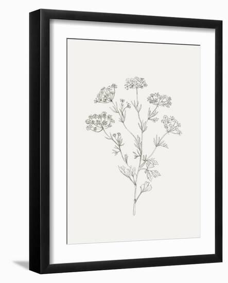 Wild Foliage Sketch III-Victoria Borges-Framed Art Print