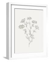 Wild Foliage Sketch III-Victoria Borges-Framed Art Print