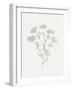 Wild Foliage Sketch III-Victoria Borges-Framed Art Print