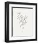 Wild Foliage Sketch IV-Victoria Borges-Framed Art Print