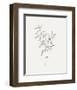 Wild Foliage Sketch IV-Victoria Borges-Framed Art Print