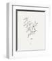 Wild Foliage Sketch IV-Victoria Borges-Framed Art Print