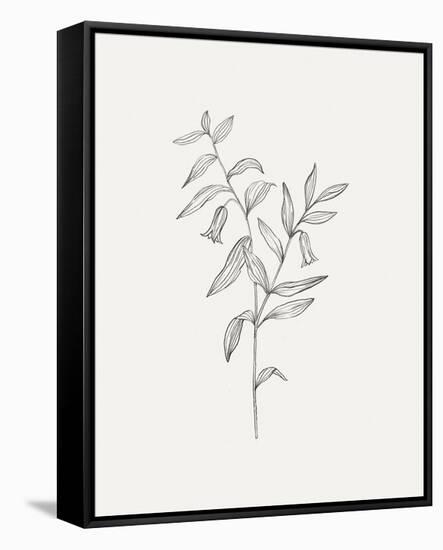 Wild Foliage Sketch IV-Victoria Borges-Framed Stretched Canvas