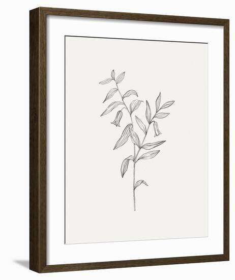 Wild Foliage Sketch IV-Victoria Borges-Framed Art Print