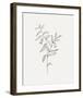 Wild Foliage Sketch IV-Victoria Borges-Framed Art Print