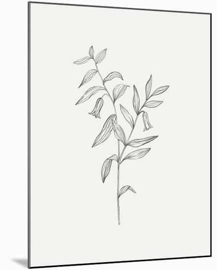 Wild Foliage Sketch IV-Victoria Borges-Mounted Art Print