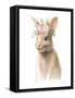 Wild for Flowers IV-Danhui Nai-Framed Stretched Canvas