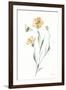 Wild for Honeybloom Wildflowers III-Katrina Pete-Framed Art Print