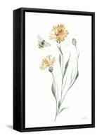 Wild for Honeybloom Wildflowers III-Katrina Pete-Framed Stretched Canvas