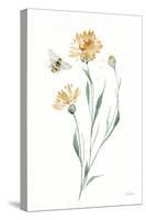 Wild for Honeybloom Wildflowers III-Katrina Pete-Stretched Canvas