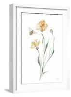 Wild for Honeybloom Wildflowers III-Katrina Pete-Framed Art Print