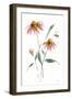 Wild for Honeybloom Wildflowers V-Katrina Pete-Framed Art Print