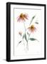 Wild for Honeybloom Wildflowers V-Katrina Pete-Framed Art Print