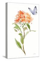 Wild for Wildflowers II-Katrina Pete-Stretched Canvas