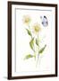 Wild for Wildflowers IV-Katrina Pete-Framed Art Print