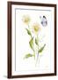 Wild for Wildflowers IV-Katrina Pete-Framed Art Print