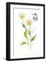 Wild for Wildflowers IV-Katrina Pete-Framed Art Print