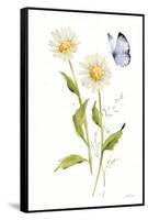 Wild for Wildflowers IV-Katrina Pete-Framed Stretched Canvas