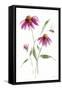 Wild for Wildflowers V-Katrina Pete-Framed Stretched Canvas