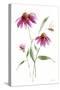 Wild for Wildflowers V-Katrina Pete-Stretched Canvas