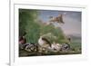 Wild Fowl, 18Th Century-Pieter Casteels-Framed Giclee Print