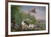 Wild Fowl, 18Th Century-Pieter Casteels-Framed Giclee Print