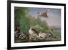 Wild Fowl, 18Th Century-Pieter Casteels-Framed Giclee Print