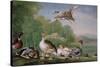 Wild Fowl, 18Th Century-Pieter Casteels-Stretched Canvas