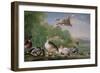 Wild Fowl, 18Th Century-Pieter Casteels-Framed Giclee Print