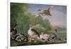 Wild Fowl, 18Th Century-Pieter Casteels-Framed Giclee Print