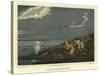 Wild Fowl Shooting-Henry Thomas Alken-Stretched Canvas