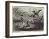 Wild-Fowl Shooting-null-Framed Giclee Print