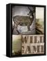 Wild Game-null-Framed Stretched Canvas